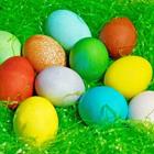 Easter Wallpapers biểu tượng