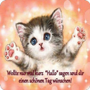 Guten Tag Bilder und Sprüche APK