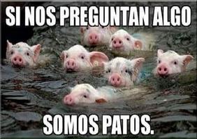 Humor y Memes para Whatsapp ảnh chụp màn hình 1