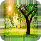 Tree Backgrounds ikon