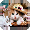Cute kittens wallpapers