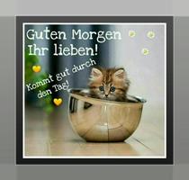 Guten Morgen und Gute Nacht 스크린샷 3