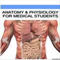 Anatomy and Physiology