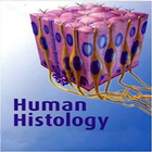 Human Histology icône
