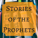 STORIES OF THE 25 PROPHETS IN ISLAM icône
