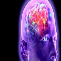 Epilepsy bài đăng