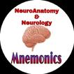 Neuroanatomy & Neurology Mnemonics