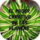 Medicina Natural con Plantas Medicinales иконка