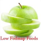 Low Fodmap Foods icône