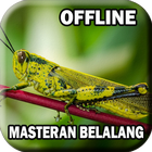 Suara Belalang Masteran Burung icon