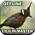 Suara Burung Cililin Master icon