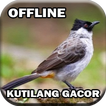 Master Burung  Kutilang Gacor