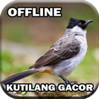 Master Burung  Kutilang Gacor ไอคอน