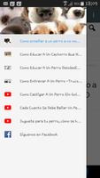 Como educar a un cachorro screenshot 3