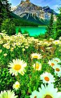 برنامه‌نما Beautiful landscapes b عکس از صفحه