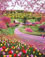برنامه‌نما Beautiful landscapes b عکس از صفحه