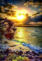 Landscapes) পোস্টার