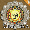 Yasin Kuran | Surat Yasin Latin Doa Terjemahan APK