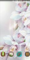 Beautiful Flower Wallpaper poster