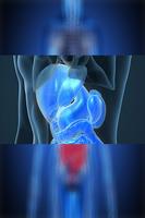 gastro-enterologie-poster