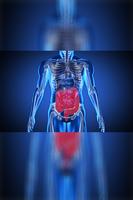 gastro-enterologie screenshot 1