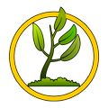 Reforestation