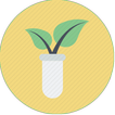 Botany