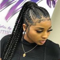 Braids Ponytail Hairstyles plakat