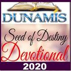 Dunamis Seed of Destiny 아이콘
