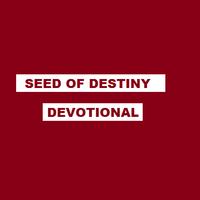 Seed of Destiny app Plakat