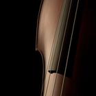 Cello at its Best-icoon