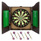 Darts Tips And Tricks icon