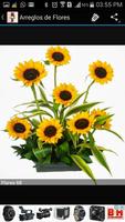 Arreglos de Flores скриншот 2