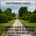 Proverbios Sabios иконка