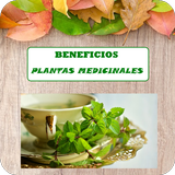 Icona Propiedades PlantasMedicinales