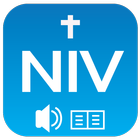NIV Audio Bible: book icon