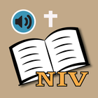 NIV BIBLE apps: audio and book 圖標
