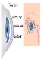 Improve Naturally Your Eyesight poster