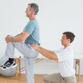 Physical Therapist