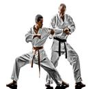 Shotokan 가라테 APK