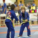 Brazilian Jiu Jitsu APK