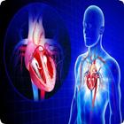 Human Anatomy آئیکن