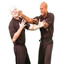 Wing Chun APK