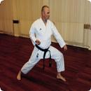 Shotokan Karate APK