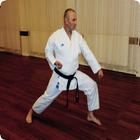 Shotokan Karate-icoon