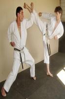 Shotokan Karate-poster