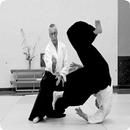 Learn Aikido APK