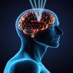 Cirugía cerebral
