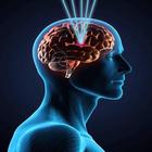 Chirurgie du cerveau icône