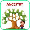 Ancestry - Family Tree APK